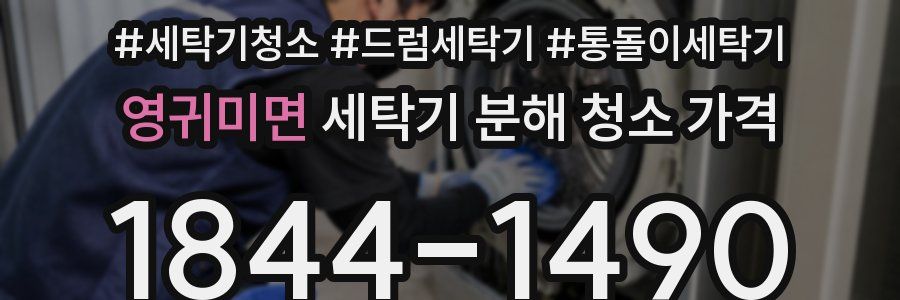 영귀미면 세탁기 분해 청소 가격