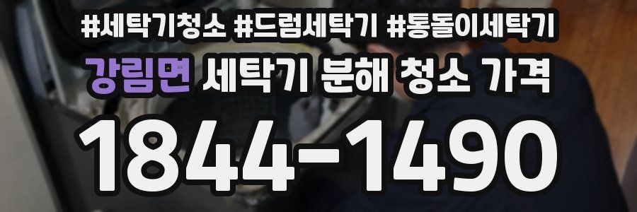 강림면 세탁기 분해 청소 가격
