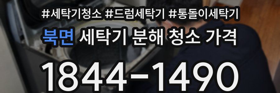 북면 세탁기 분해 청소 가격