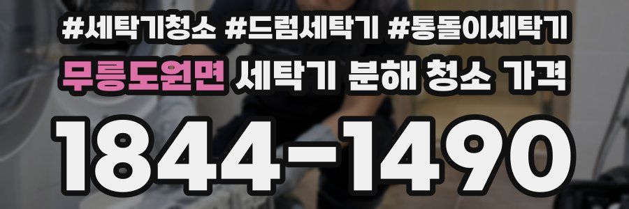 무릉도원면 세탁기 분해 청소 가격