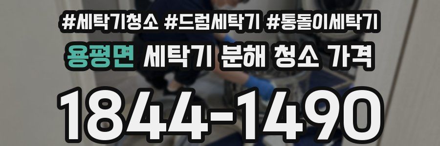 용평면 세탁기 분해 청소 가격