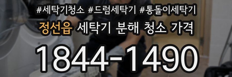 정선읍 세탁기 분해 청소 가격
