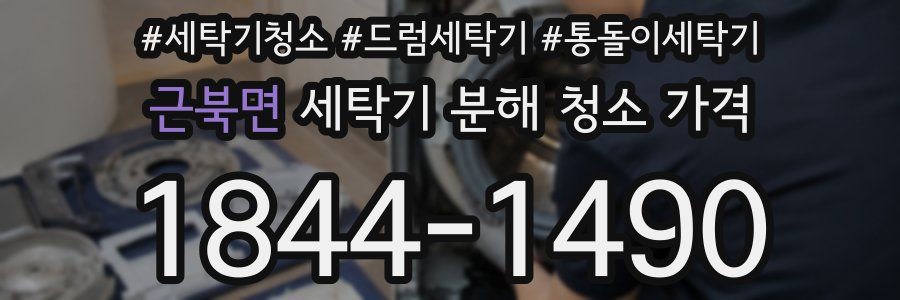 근북면 세탁기 분해 청소 가격