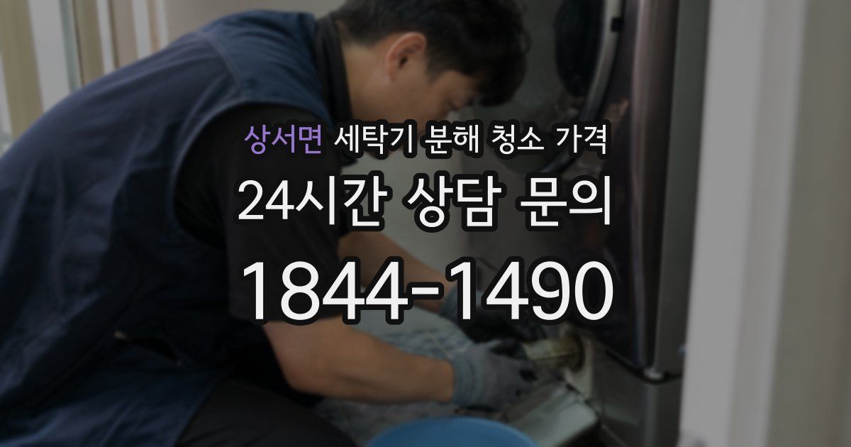 상서면 세탁기 분해 청소 가격