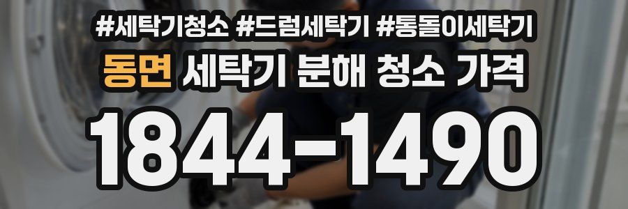 동면 세탁기 분해 청소 가격