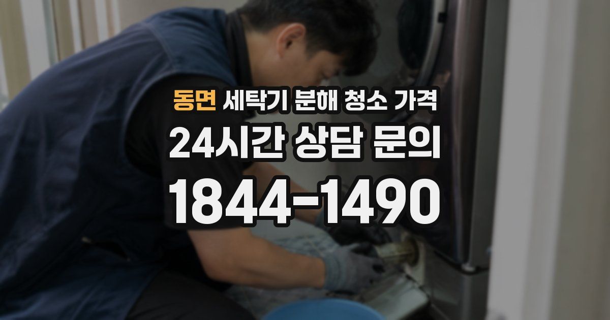 동면 세탁기 분해 청소 가격