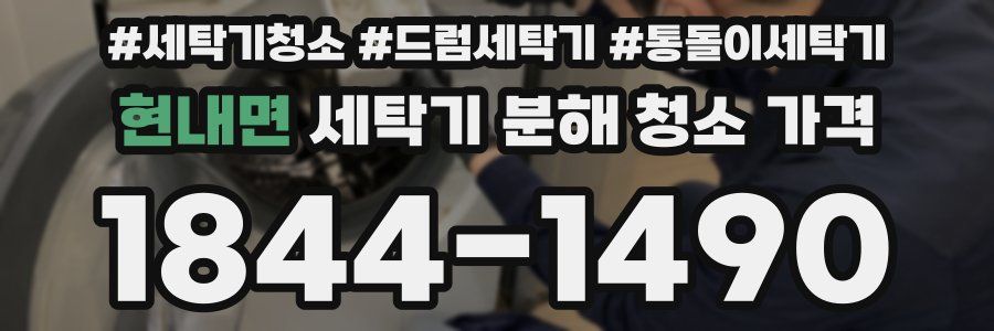 현내면 세탁기 분해 청소 가격