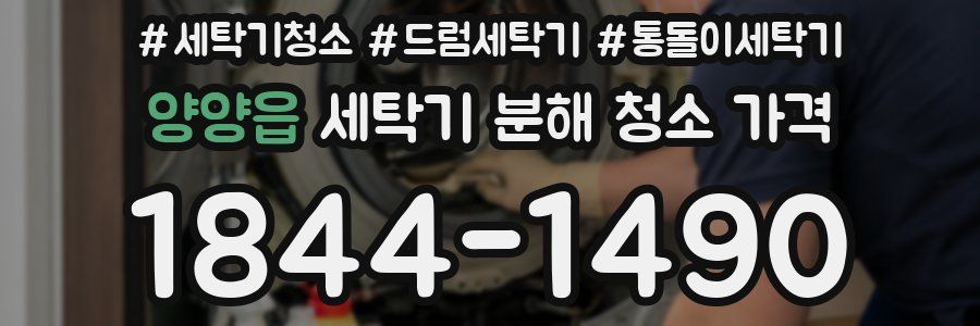 양양읍 세탁기 분해 청소 가격