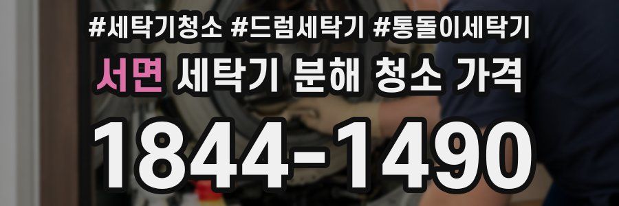 서면 세탁기 분해 청소 가격