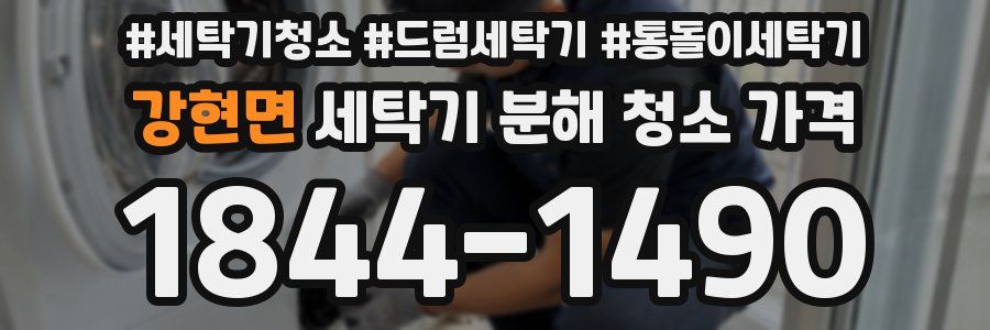 강현면 세탁기 분해 청소 가격