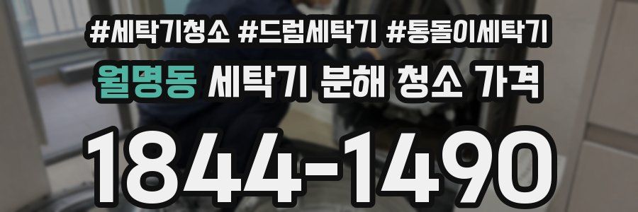 월명동 세탁기 분해 청소 가격