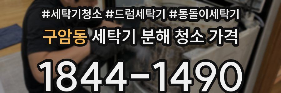 구암동 세탁기 분해 청소 가격