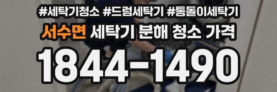 서수면 세탁기 분해 청소 가격