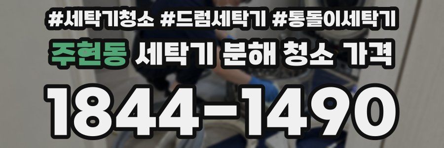 주현동 세탁기 분해 청소 가격
