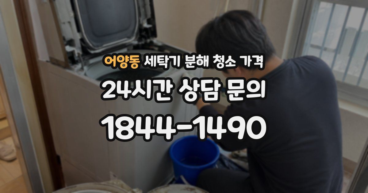 어양동 세탁기 분해 청소 가격