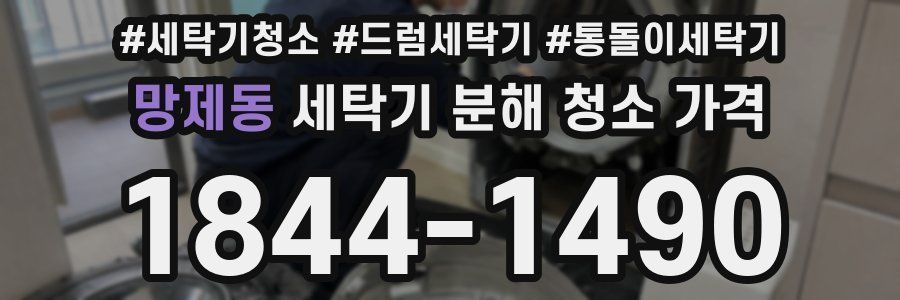 망제동 세탁기 분해 청소 가격