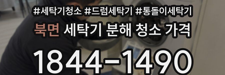 북면 세탁기 분해 청소 가격