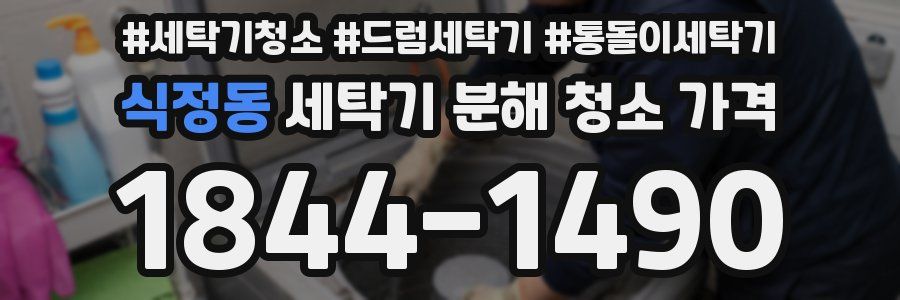 식정동 세탁기 분해 청소 가격
