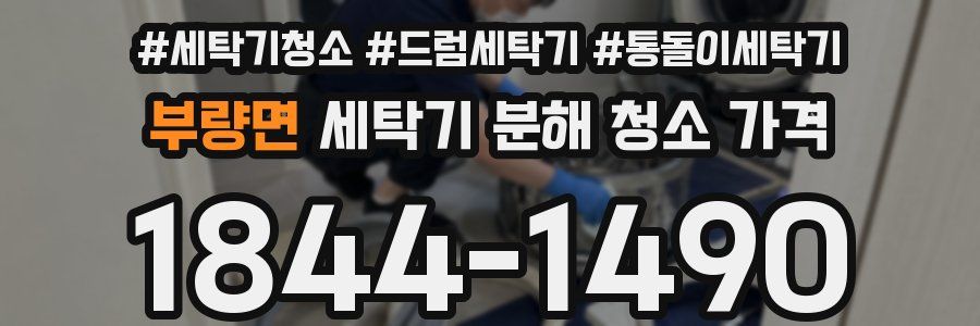 부량면 세탁기 분해 청소 가격