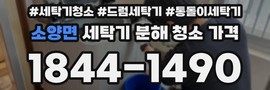 소양면 세탁기 분해 청소 가격
