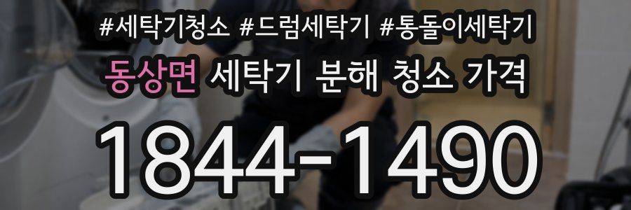 동상면 세탁기 분해 청소 가격