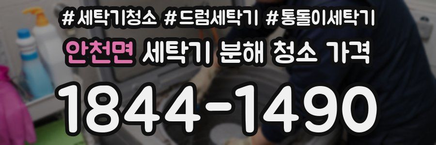 안천면 세탁기 분해 청소 가격