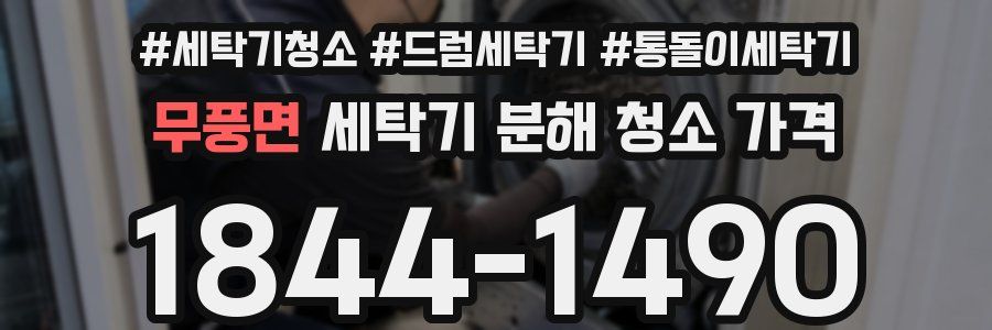 무풍면 세탁기 분해 청소 가격