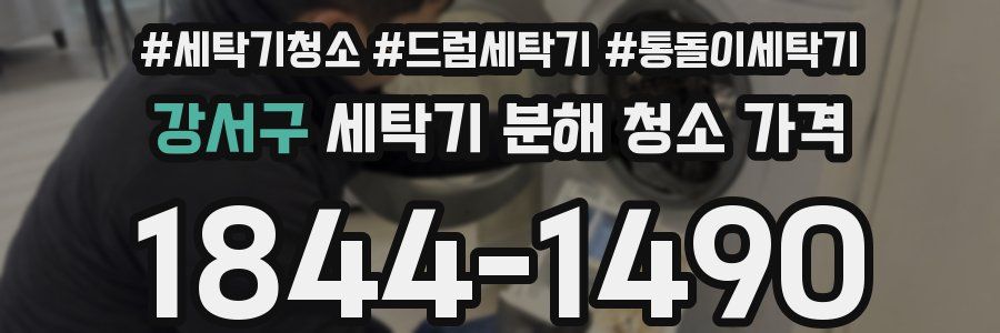 강서구 세탁기 분해 청소 가격