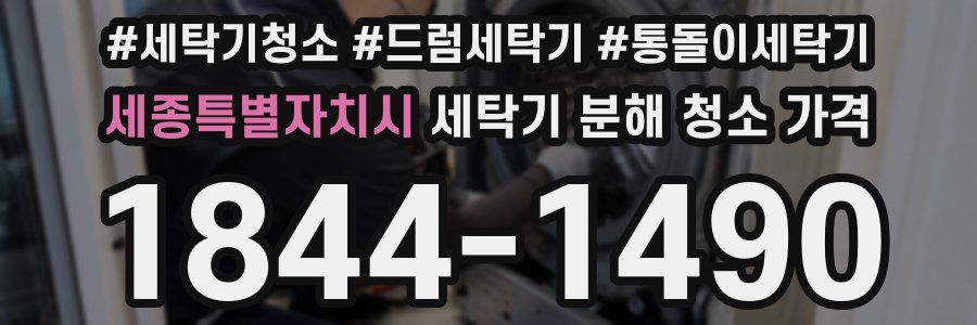세종특별자치시 세탁기 분해 청소 가격