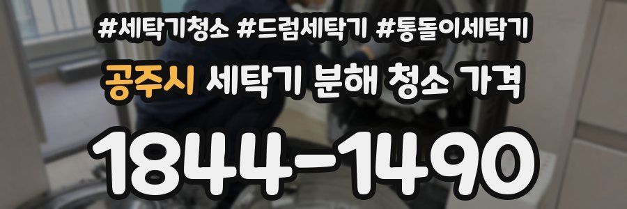 공주시 세탁기 분해 청소 가격