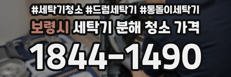 보령시 세탁기 분해 청소 가격