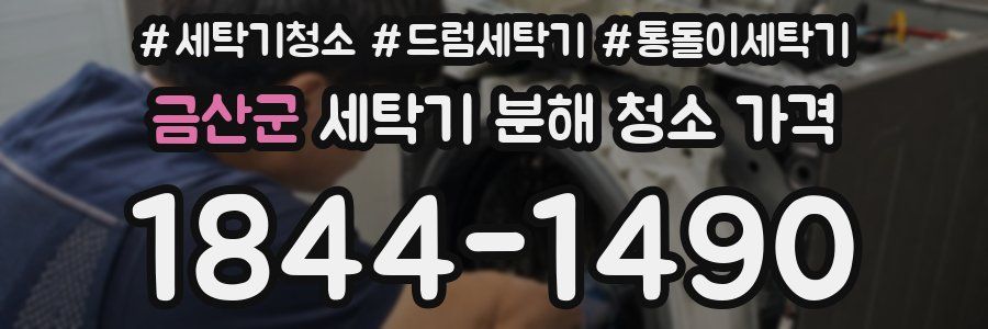 금산군 세탁기 분해 청소 가격