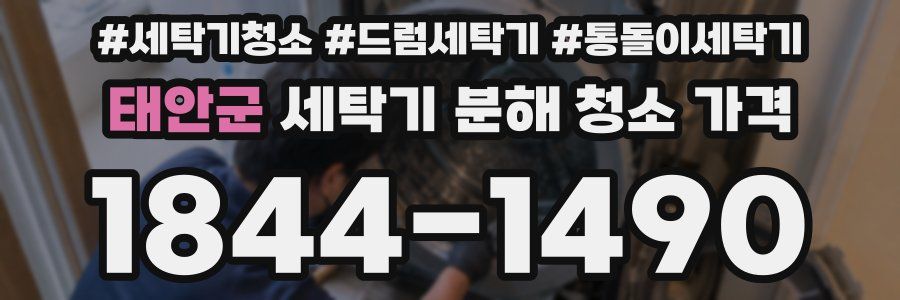 태안군 세탁기 분해 청소 가격