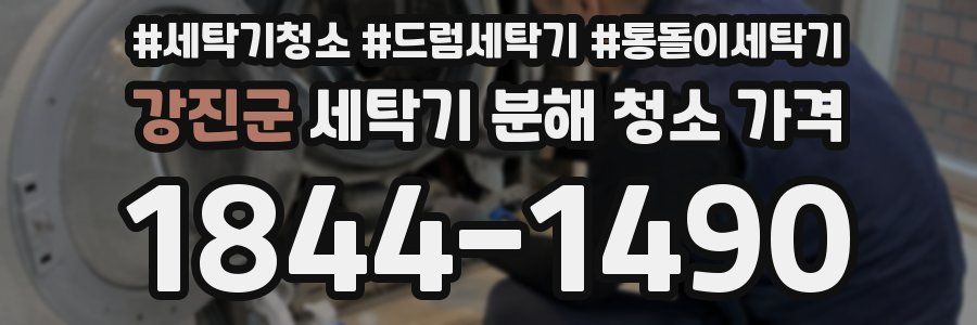 강진군 세탁기 분해 청소 가격