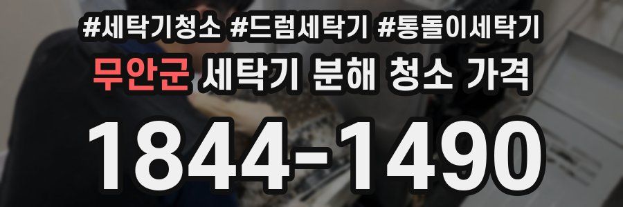 무안군 세탁기 분해 청소 가격