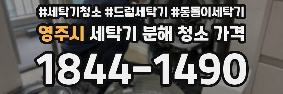영주시 세탁기 분해 청소 가격