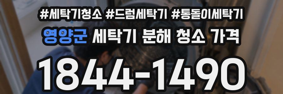 영양군 세탁기 분해 청소 가격
