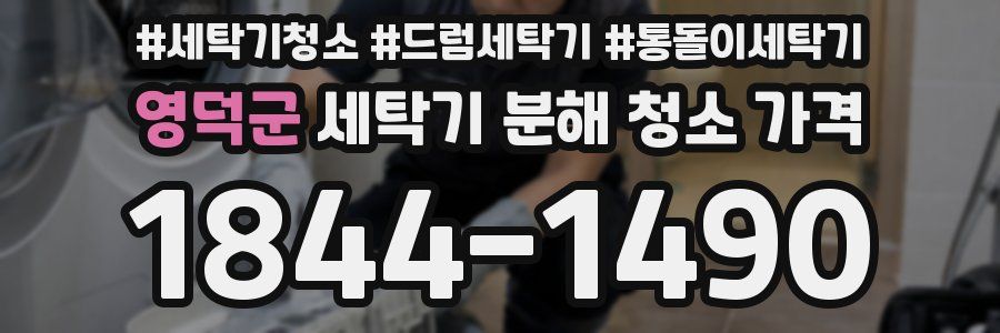 영덕군 세탁기 분해 청소 가격