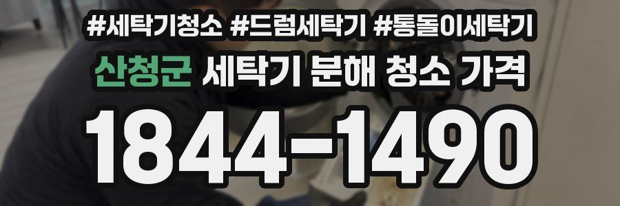 산청군 세탁기 분해 청소 가격