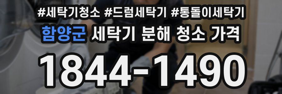 함양군 세탁기 분해 청소 가격