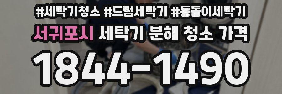 서귀포시 세탁기 분해 청소 가격