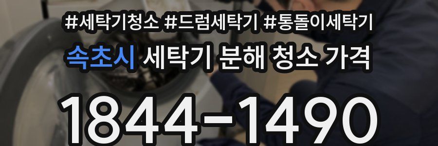 속초시 세탁기 분해 청소 가격