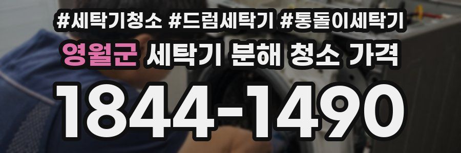 영월군 세탁기 분해 청소 가격