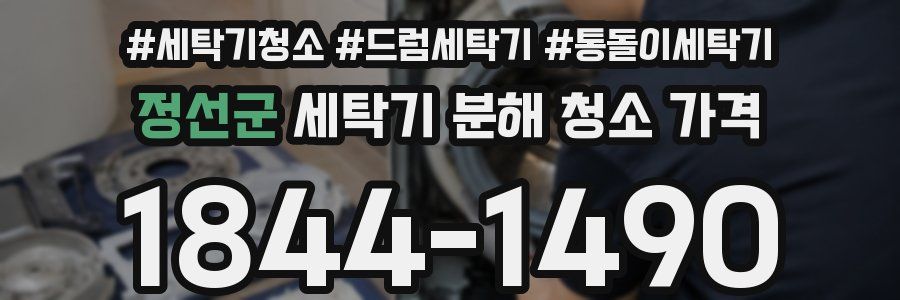 정선군 세탁기 분해 청소 가격