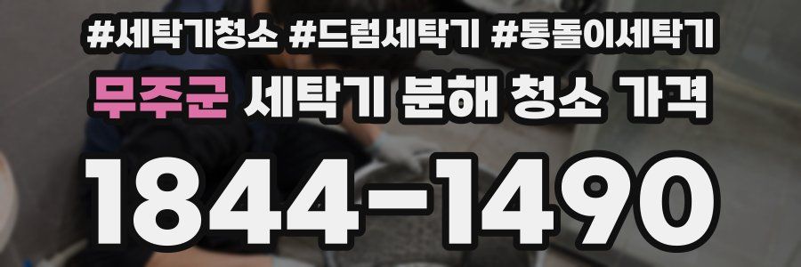 무주군 세탁기 분해 청소 가격
