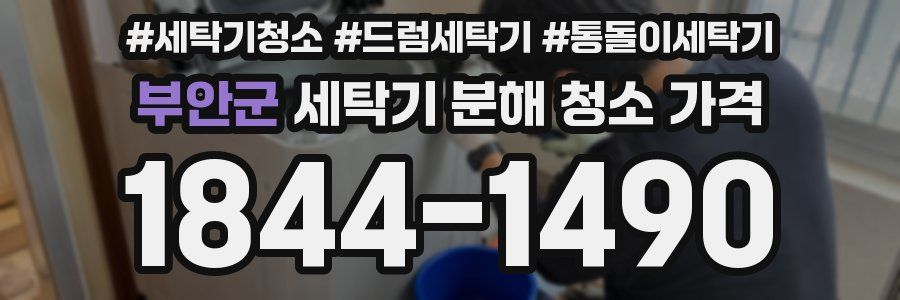 부안군 세탁기 분해 청소 가격
