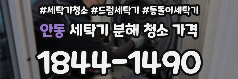 안동 세탁기 분해 청소 가격