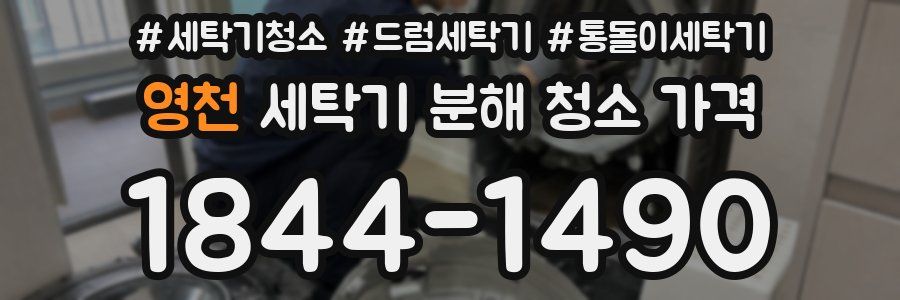 영천 세탁기 분해 청소 가격