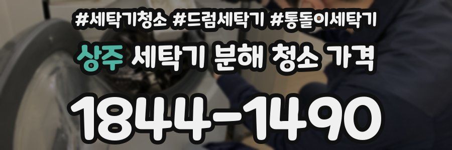 상주 세탁기 분해 청소 가격