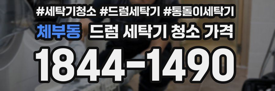 체부동 드럼 세탁기 청소 가격